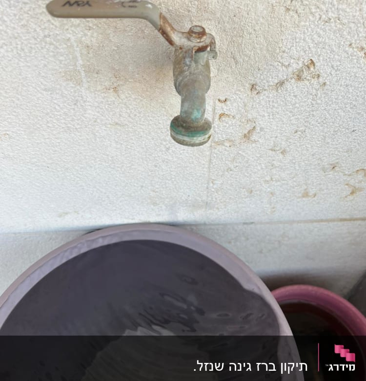 ברז חלוד על קיר עם דלי מים מתחת